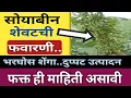 Lagu सोयाबीन शेवटची फवारणी दाणे टपोरे भरघोस शेंगा l soyabean tisri favarni l सोयाबीन शेंग अवस्थेत फवारणी