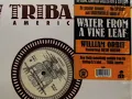William Orbit   Water From A Vine Leaf Xylem Flow Mix 1994