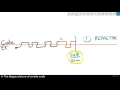 060 Rising Complexity Refactoring