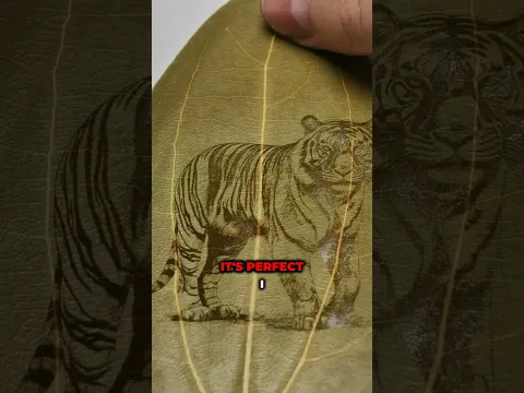 Engraving a Fragile Dried Leaf