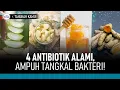 Lagu 4 Antibiotik Alami yang bisa Cegah Infeksi Bakteri di Tubuh | Hidup Sehat tvOne