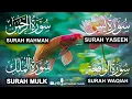 Download Lagu Surah Yasin ❤️ Surah Rahman , Surah Waqiah , Surah Mulk | Ep 108,یس