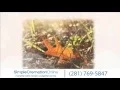 Cremation Services SE Houston TX - Call us 281 769-5847