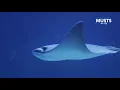 Mile High Musts Denver Downtown Aquarium