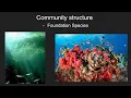 spring 2021 community structure 1