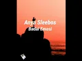 Download Lagu Anya Sleebos ~ Badai Emosi