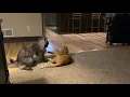 More post-nip wrassling
