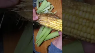 مشروب تفتيت حصوات الكلي و تنظيف المسالك البولية و التخلص من الماء الزائد بالجسم 