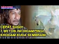 CEPAT SUGIH ❗7 WETON INI DIDAMPINGI KHODAM KUDA SEMBRANI❗❗