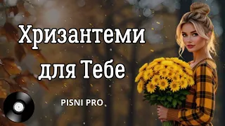 ХРИЗАНТЕМИ ДЛЯ ТЕБЕ Осіння пісні про кохання що не згасло 