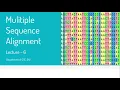 Multiple Sequence Alignment