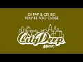 DJ Pap feat. Cei Bei - You're Too Close (Mr. V Sole Channel Remix)