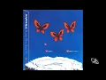 Stonie Blue & tom huna - DWM (S+H MIX)