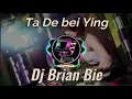 Ta De bei Ying 她的背影 Remix By Dj Brian Bie
