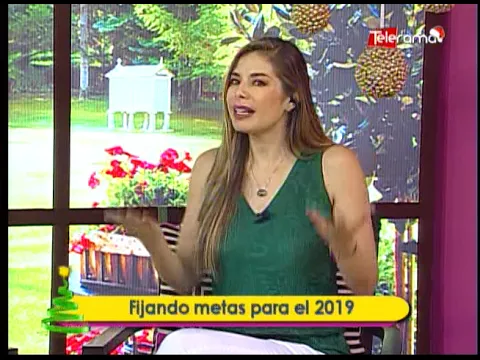 Fijando metas para el 2019 