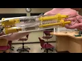 Physics 7B DL9 Activity 6 5C Balancing Forces with Spring Scales