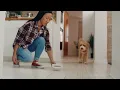 Quality Dog Food Just Look for Our Name