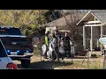 LIVE Daily News Stabbing Suspect Arrested and Baby Cow Returns