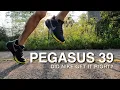 Download Lagu Pegasus 39 - First Run