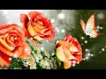 Download Lagu The beauty of flowers - Great music Sergey Grischuk - Relaxing music with the flowers