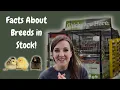 TRACTOR SUPPLY CHICKS 1 Minute Breed Info Brahma Wyandotte Americana More