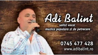 Adi Balint - LIVE 5 - Nunta Valea Draganului