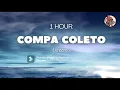 Aria Vega - Compa Coleto (Uy como) (1 Hour / 1 Hora) Loop
