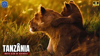 Tanzania: Beyond the Serengeti!