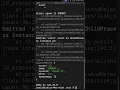 Spawn function in the child process in Nodejs and the commands it executes