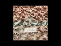 Cable Ties - Change (Official Audio)