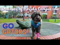 University of Florida Campus Tour Gainesville