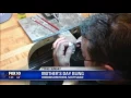 Phoenix Reporter Ty Brennan Shops Robbins Brothers Engagement Rings