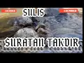 Download Lagu SULIS SURATAN TAKDIR