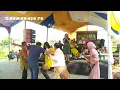 Download Lagu SANGSARA DI HAJA naek ORAY WELANG  // MISS CINEUR // JAIPONG DANGDUT SUNDA