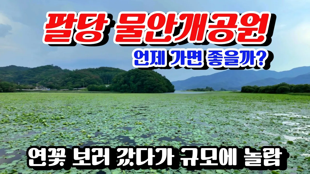 パルダン 水霧公園