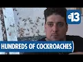 Henderson Homes Swarmed by Cockroaches Possibly Linked to Wetlands Construction