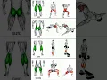 Download Lagu Lower Body Workout at Home || Home Workout 🏋️ 🦵🔥 #workout #legday #homeworkout