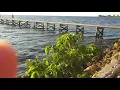 Sunset GRILL Ruskin Fl