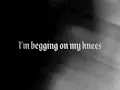 Lone Assembly - My Life's Solid (Official Lyric Video)