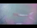 La Calle de las Sirenas - Kabah //Letra en Español//