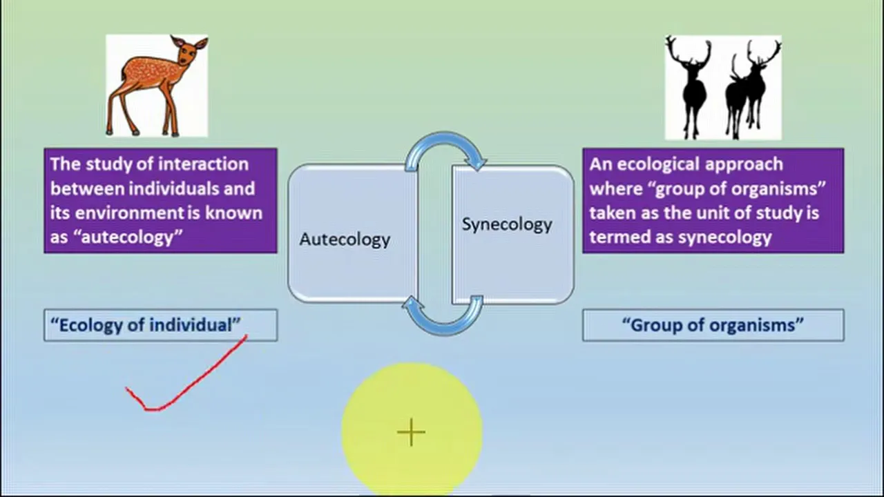 AUTECOLOGY SYNECLOGY & Levels of organisation