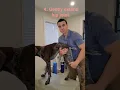 How to stretch your dog s hips with a tight back end