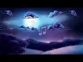 Tender - Go Steady [Lyrics on screen]