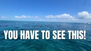 Snorkeling Christ of the Abyss Key Largo | Boating Journey