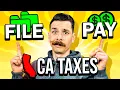 How To Actually File Pay California Sales Tax walkthrough