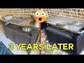 Keter Unity XL Portable Outdoor Table Review 3 Years Later Not Pretty BUT