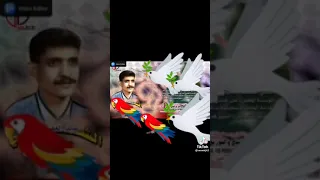 وطير للفنان عبدالغفور الشميري  وطير للفنان عبدالغفور الشميري