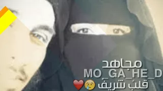 انشودة اريد الحب في قلب شريف تسجيل خروج لبين ما ارتاح البال مشغول استودعكم الله جميع 