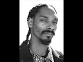 snoop dogg - ladi dadi