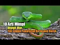 Download Lagu 10 Arti Mimpi Digigit Ular, Tak Semua Penafsiran Bermakna Buruk